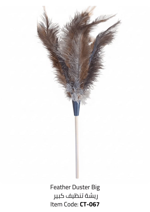 feather duster big