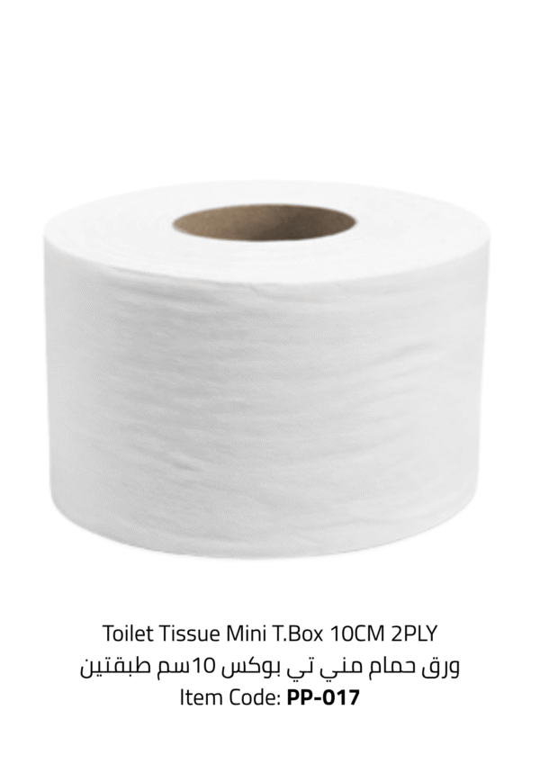 toilet tissue mini t.box 10cm 2ply